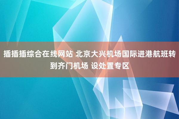 插插插综合在线网站 北京大兴机场国际进港航班转到齐门机场 设处置专区