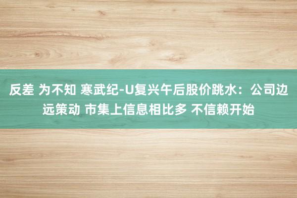 反差 为不知 寒武纪-U复兴午后股价跳水：公司边远策动 市集上信息相比多 不信赖开始