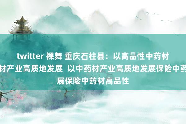 twitter 裸舞 重庆石柱县：以高品性中药材推动中药材产业高质地发展  以中药材产业高质地发展保险中药材高品性