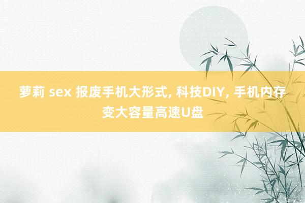 萝莉 sex 报废手机大形式， 科技DIY， 手机内存变大容量高速U盘