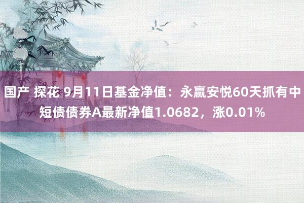 国产 探花 9月11日基金净值：永赢安悦60天抓有中短债债券A最新净值1.0682，涨0.01%