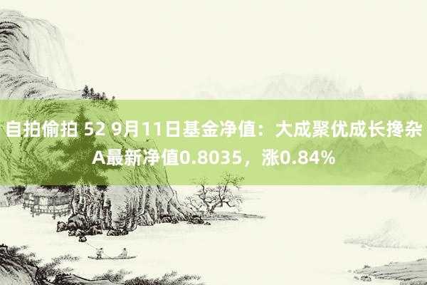 自拍偷拍 52 9月11日基金净值：大成聚优成长搀杂A最新净值0.8035，涨0.84%