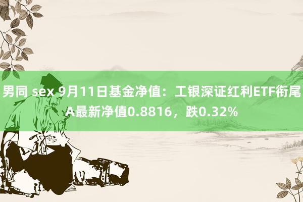 男同 sex 9月11日基金净值：工银深证红利ETF衔尾A最新净值0.8816，跌0.32%