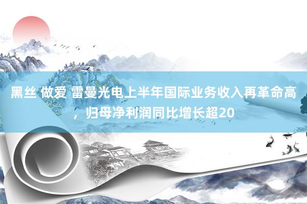 黑丝 做爱 雷曼光电上半年国际业务收入再革命高，归母净利润同比增长超20