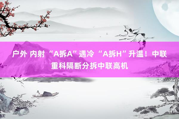 户外 内射 “A拆A”遇冷 “A拆H”升温！中联重科隔断分拆中联高机