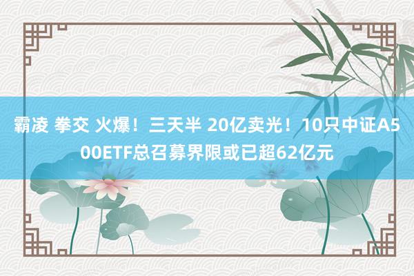 霸凌 拳交 火爆！三天半 20亿卖光！10只中证A500ETF总召募界限或已超62亿元