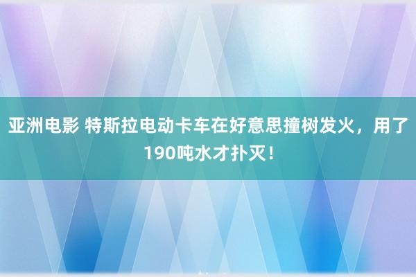 亚洲电影 特斯拉电动卡车在好意思撞树发火，用了190吨水才扑灭！