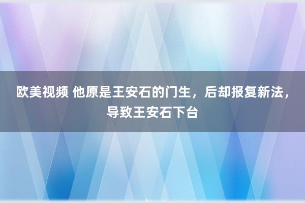 欧美视频 他原是王安石的门生，后却报复新法，导致王安石下台