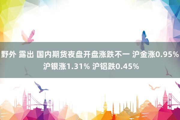 野外 露出 国内期货夜盘开盘涨跌不一 沪金涨0.95% 沪银涨1.31% 沪铝跌0.45%