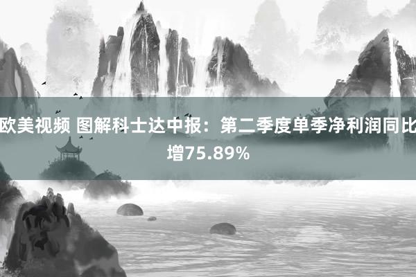 欧美视频 图解科士达中报：第二季度单季净利润同比增75.89%