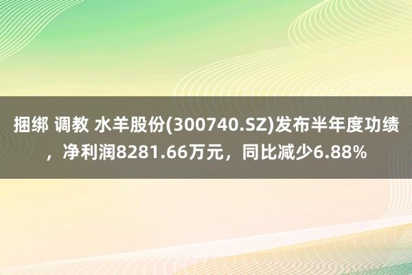 捆绑 调教 水羊股份(300740.SZ)发布半年度功绩，净利润8281.66万元，同比减少6.88%