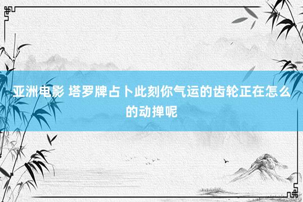 亚洲电影 塔罗牌占卜此刻你气运的齿轮正在怎么的动掸呢