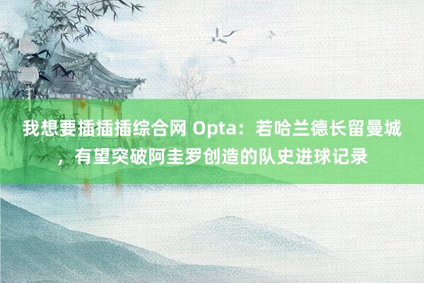 我想要插插插综合网 Opta：若哈兰德长留曼城，有望突破阿圭罗创造的队史进球记录