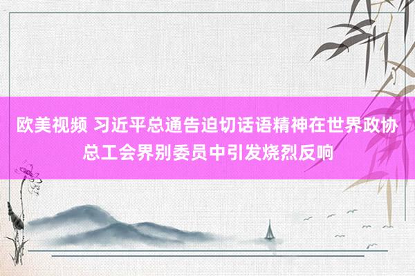 欧美视频 习近平总通告迫切话语精神在世界政协总工会界别委员中引发烧烈反响