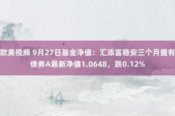 欧美视频 9月27日基金净值：汇添富稳安三个月握有债券A最新净值1.0648，跌0.12%