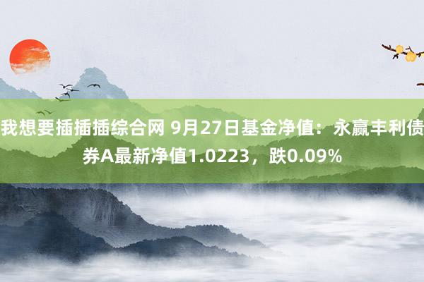 我想要插插插综合网 9月27日基金净值：永赢丰利债券A最新净值1.0223，跌0.09%