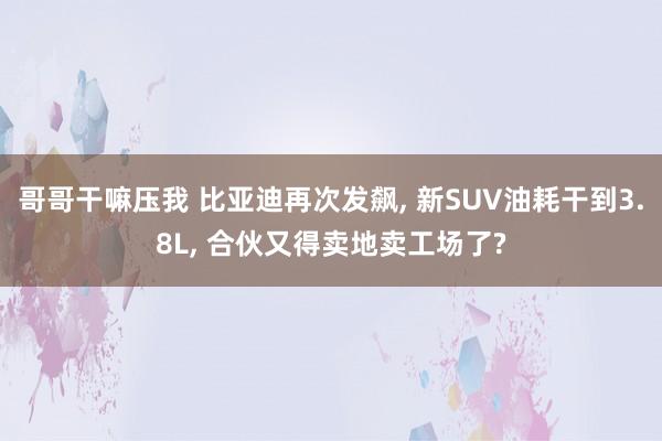 哥哥干嘛压我 比亚迪再次发飙， 新SUV油耗干到3.8L， 合伙又得卖地卖工场了?