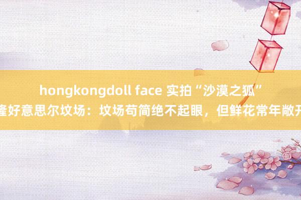 hongkongdoll face 实拍“沙漠之狐”隆好意思尔坟场：坟场苟简绝不起眼，但鲜花常年敞开