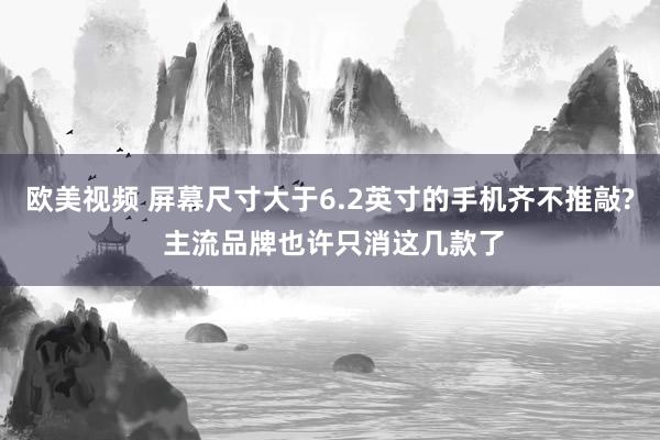 欧美视频 屏幕尺寸大于6.2英寸的手机齐不推敲? 主流品牌也许只消这几款了