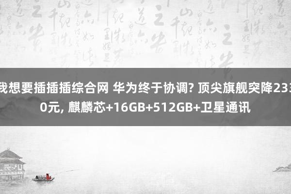 我想要插插插综合网 华为终于协调? 顶尖旗舰突降2330元， 麒麟芯+16GB+512GB+卫星通讯