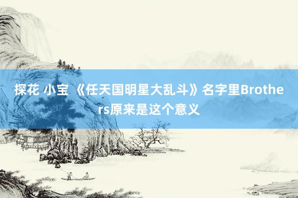 探花 小宝 《任天国明星大乱斗》名字里Brothers原来是这个意义