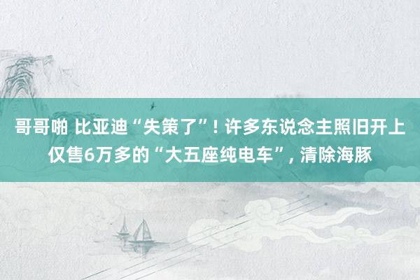 哥哥啪 比亚迪“失策了”! 许多东说念主照旧开上仅售6万多的“大五座纯电车”， 清除海豚