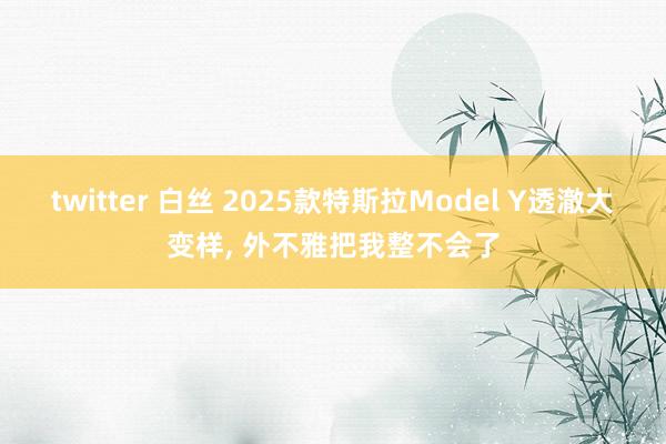 twitter 白丝 2025款特斯拉Model Y透澈大变样， 外不雅把我整不会了