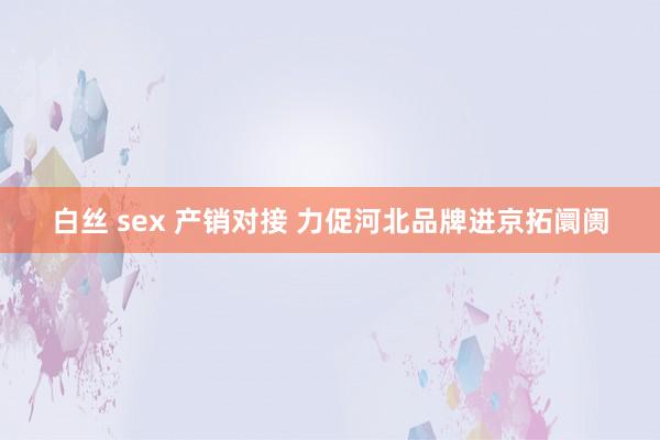 白丝 sex 产销对接 力促河北品牌进京拓阛阓