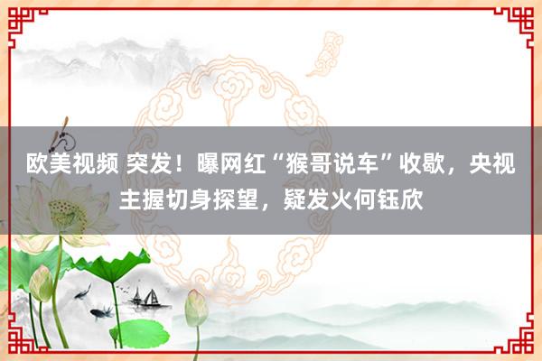 欧美视频 突发！曝网红“猴哥说车”收歇，央视主握切身探望，疑发火何钰欣