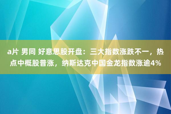 a片 男同 好意思股开盘：三大指数涨跌不一，热点中概股普涨，纳斯达克中国金龙指数涨逾4%