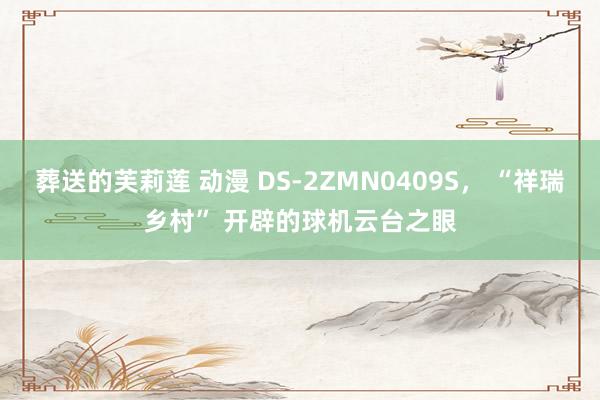 葬送的芙莉莲 动漫 DS-2ZMN0409S， “祥瑞乡村” 开辟的球机云台之眼