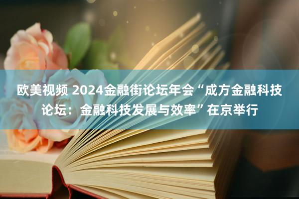 欧美视频 2024金融街论坛年会“成方金融科技论坛：金融科技发展与效率”在京举行