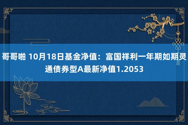 哥哥啪 10月18日基金净值：富国祥利一年期如期灵通债券型A最新净值1.2053