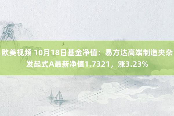 欧美视频 10月18日基金净值：易方达高端制造夹杂发起式A最新净值1.7321，涨3.23%