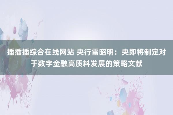 插插插综合在线网站 央行雷昭明：央即将制定对于数字金融高质料发展的策略文献