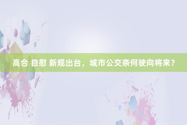 高合 自慰 新规出台，城市公交奈何驶向将来？