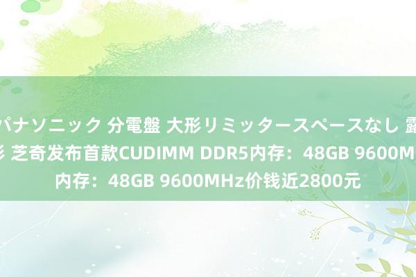 パナソニック 分電盤 大形リミッタースペースなし 露出・半埋込両用形 芝奇发布首款CUDIMM DDR5内存：48GB 9600MHz价钱近2800元