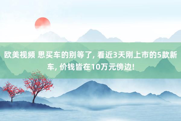 欧美视频 思买车的别等了， 看近3天刚上市的5款新车， 价钱皆在10万元傍边!