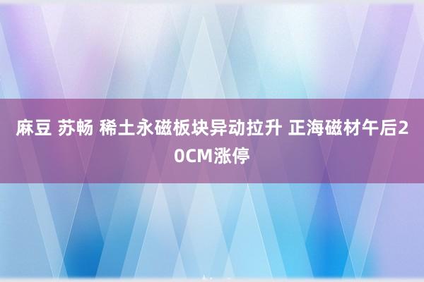 麻豆 苏畅 稀土永磁板块异动拉升 正海磁材午后20CM涨停