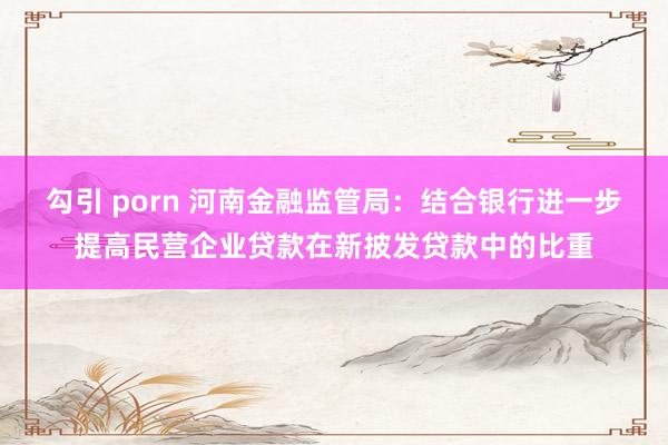 勾引 porn 河南金融监管局：结合银行进一步提高民营企业贷款在新披发贷款中的比重