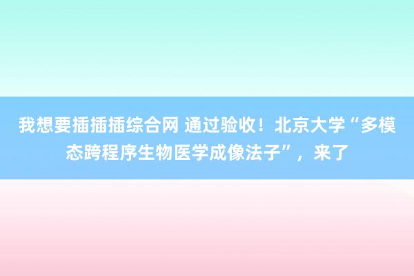 我想要插插插综合网 通过验收！北京大学“多模态跨程序生物医学成像法子”，来了