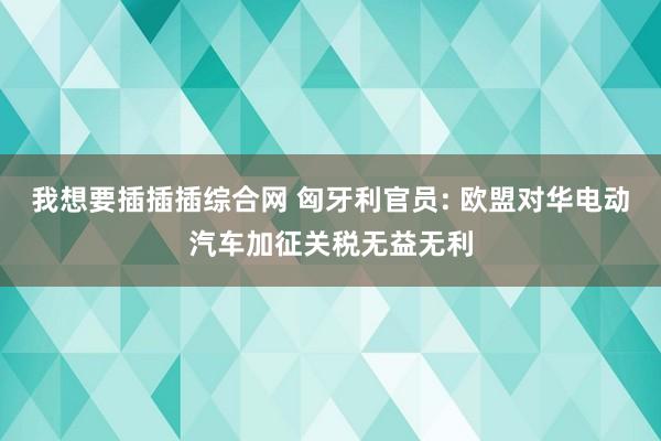 我想要插插插综合网 匈牙利官员: 欧盟对华电动汽车加征关税无益无利