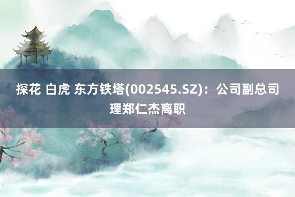 探花 白虎 东方铁塔(002545.SZ)：公司副总司理郑仁杰离职