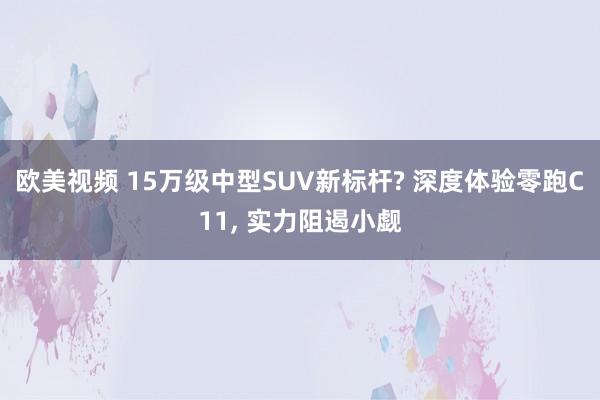 欧美视频 15万级中型SUV新标杆? 深度体验零跑C11， 实力阻遏小觑