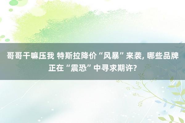 哥哥干嘛压我 特斯拉降价“风暴”来袭， 哪些品牌正在“震恐”中寻求期许?