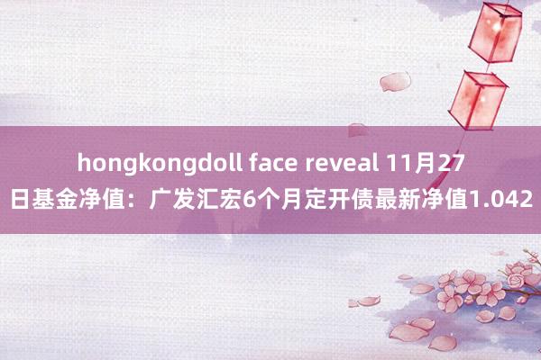 hongkongdoll face reveal 11月27日基金净值：广发汇宏6个月定开债最新净值1.042