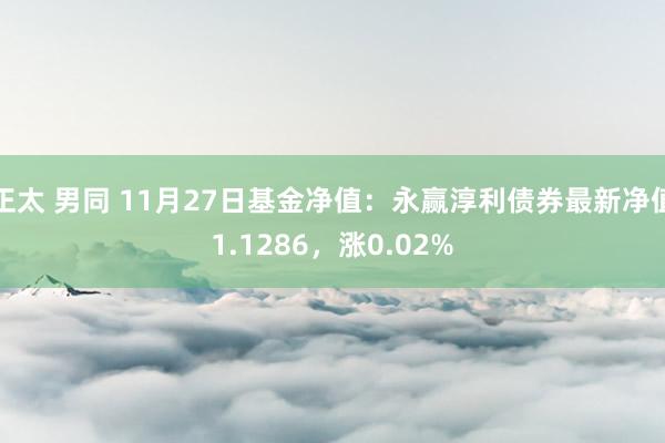 正太 男同 11月27日基金净值：永赢淳利债券最新净值1.1286，涨0.02%