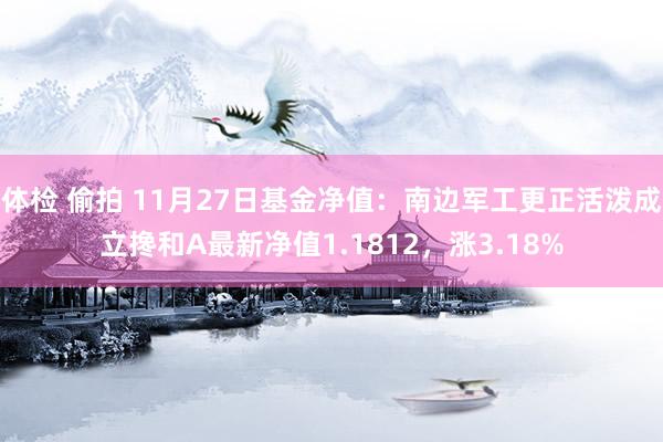 体检 偷拍 11月27日基金净值：南边军工更正活泼成立搀和A最新净值1.1812，涨3.18%