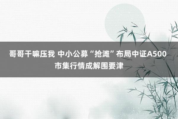 哥哥干嘛压我 中小公募“抢滩”布局中证A500 市集行情成解围要津