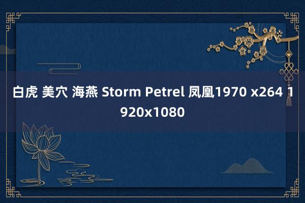 白虎 美穴 海燕 Storm Petrel 凤凰1970 x264 1920x1080